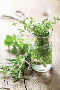 The Truth About Herbal Medicine